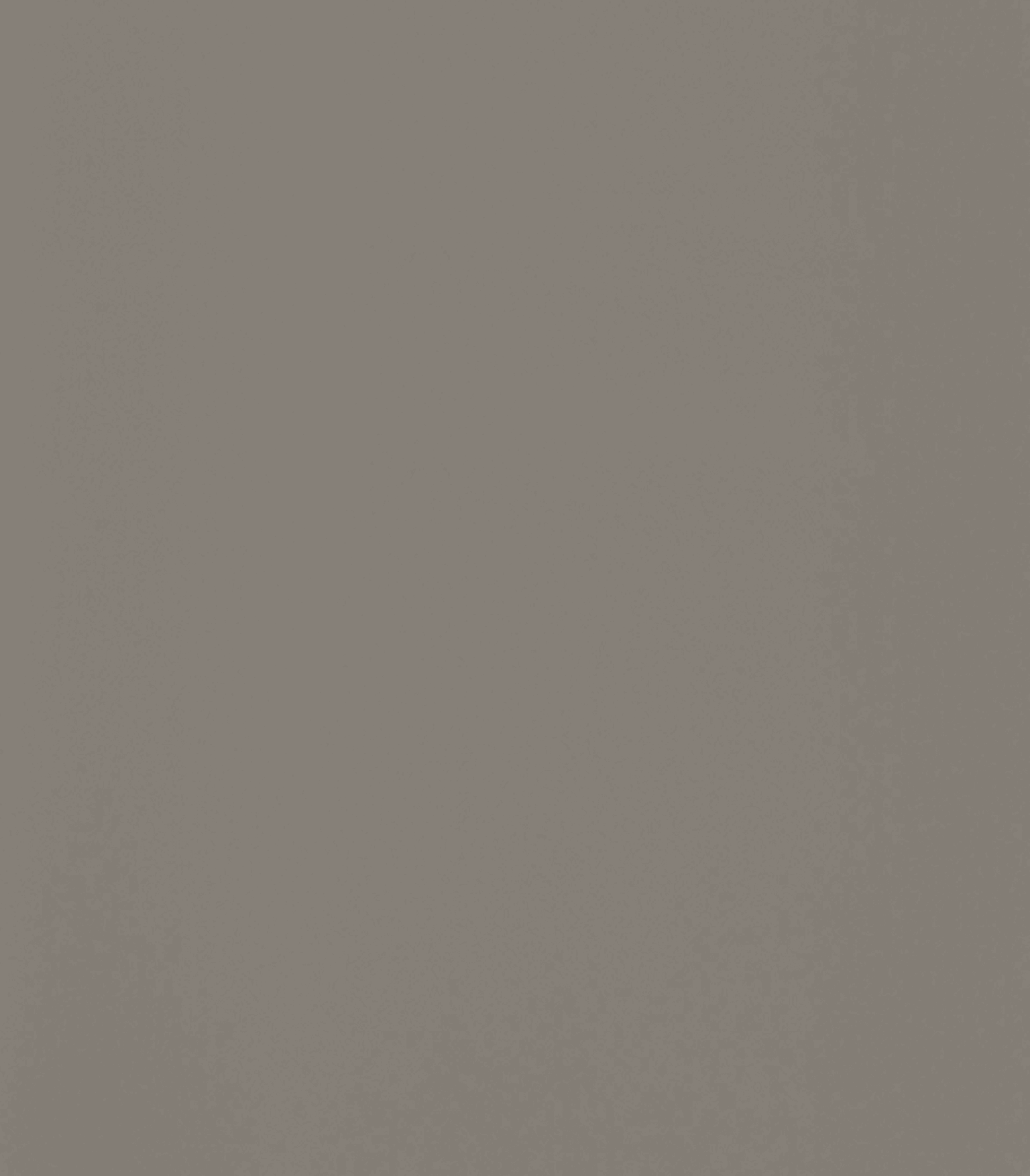 Nobilia Frontfarbe 461 Taupegrau